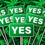 Polls: Most Americans Endorse Legalization, Say Cannabis Is Safer Than Either Alcohol Or Tobacco