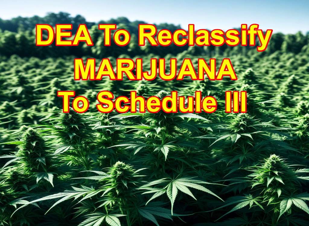 DEA To Reclassify Marijuana To Schedule lll