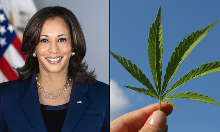 Where Kamala Harris Stands On Marijuana