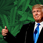 Trump Reiterates Support for Florida’s Amendment 3