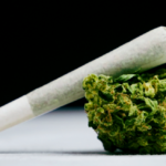 Survey: Patients With Rheumatic Conditions Frequently Substitute Cannabis for Prescription Medications