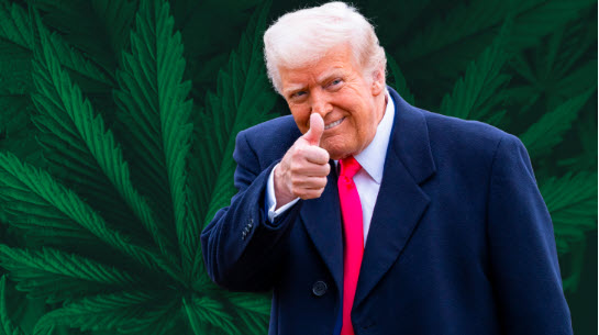President Trump Takes Executive Action to Federally Reschedule Marijuana